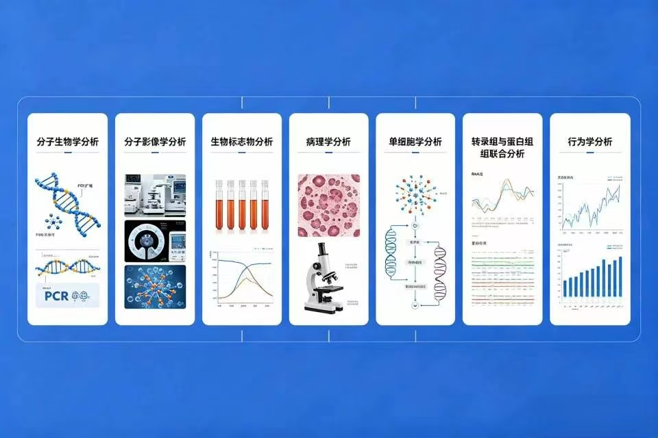 全维度检测分析技术